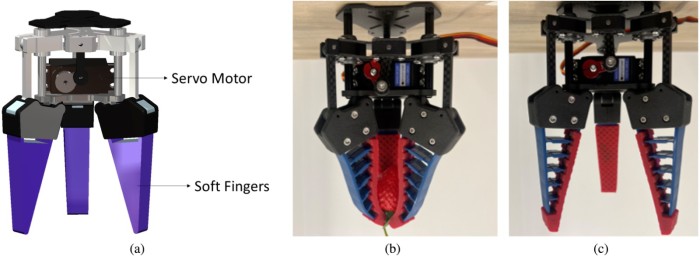 raccolta delle fragole 2