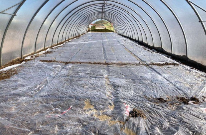 solarizzazione del suolo