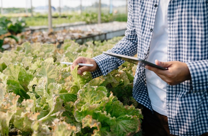 anticipi pac giovani