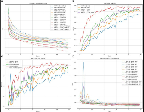 avversità della cipolla 