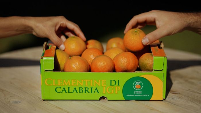 clementine di calabria 