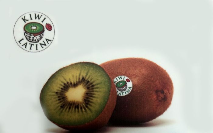 il kiwi 