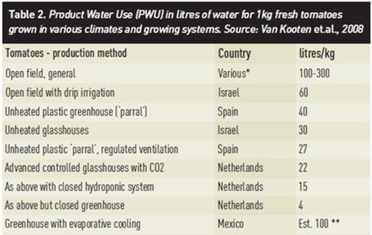 irrigazione del pomodoro 2
