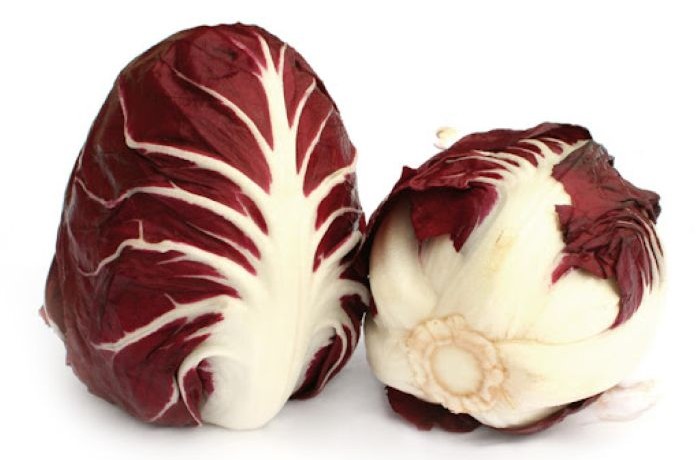 radicchio di verona 