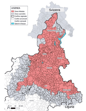 reti anti insetto piemonte (1)