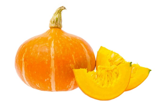 varietà di zucca - hokkaido