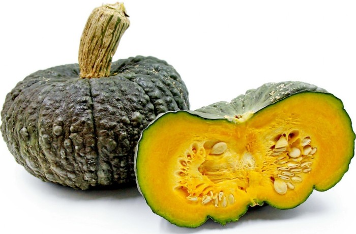 varietà di zucca - marina di chioggia