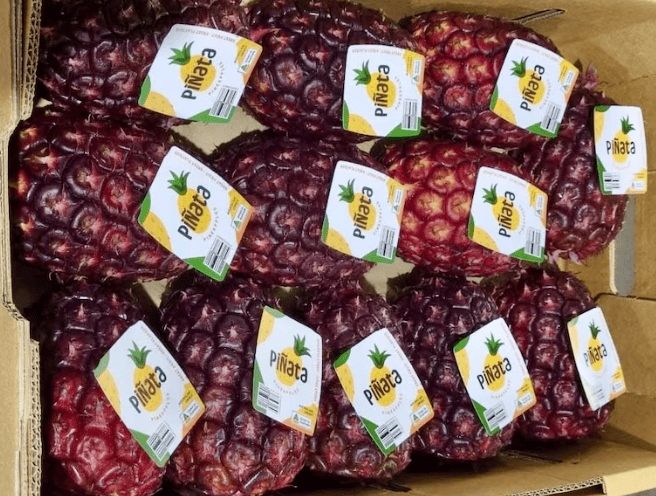ananas viola pinata (1)