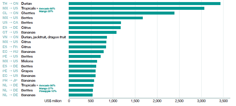durian fruit ortofrutta