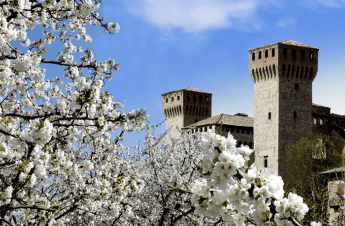 la ciliegia di vignola (1)