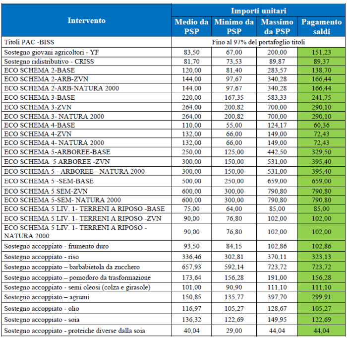 pac 2025 importi (1)
