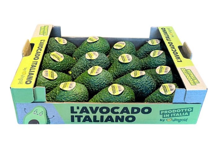 avocado italiano