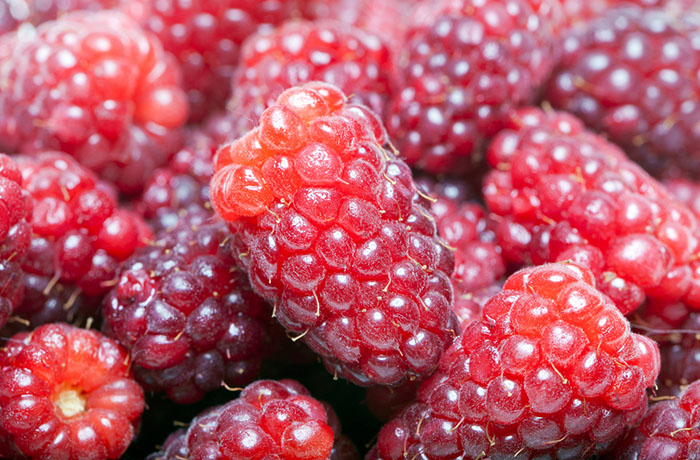 loganberry
