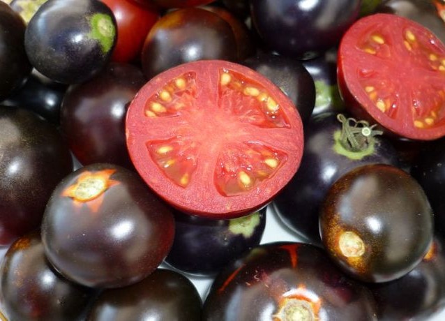 pomodori neri sublack