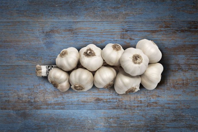 aglio bianco polesano