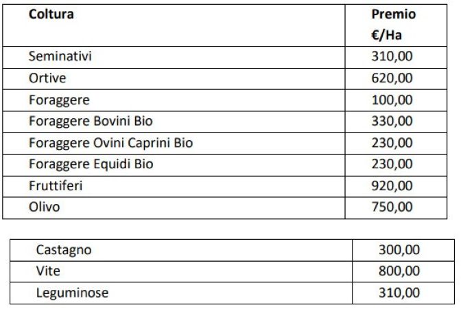 agricoltura biologica 