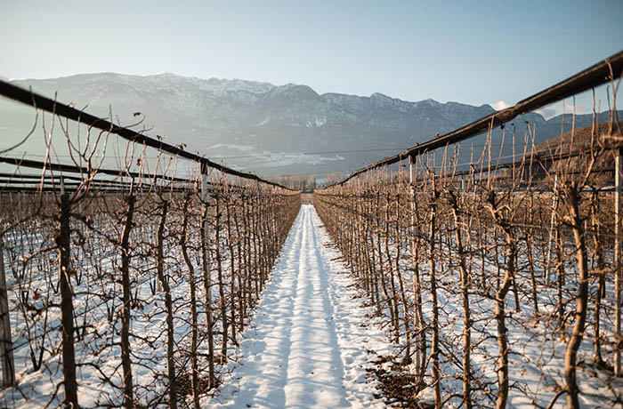 fabbisogno in freddo