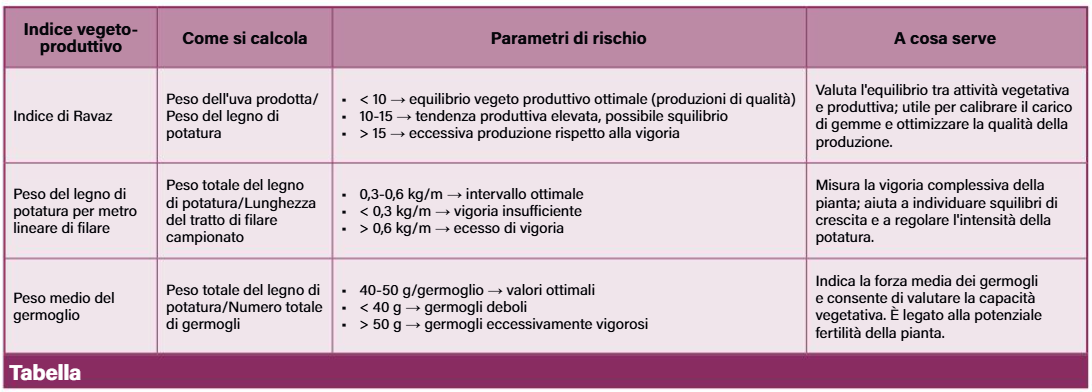 la potatura uva da vino