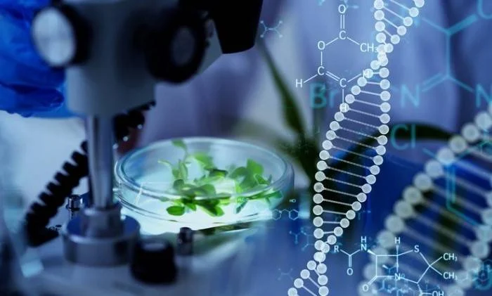 Tecniche di Evoluzione Assistita