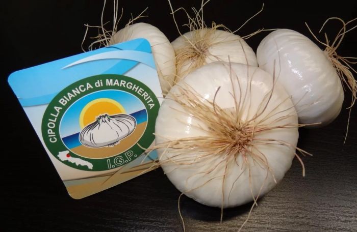 cipolla bianca di margherita