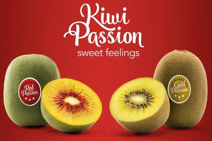 kiwi passion