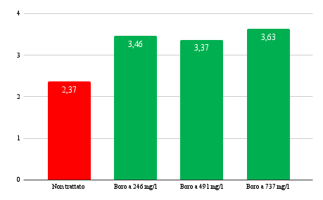 olivo - % allegagione