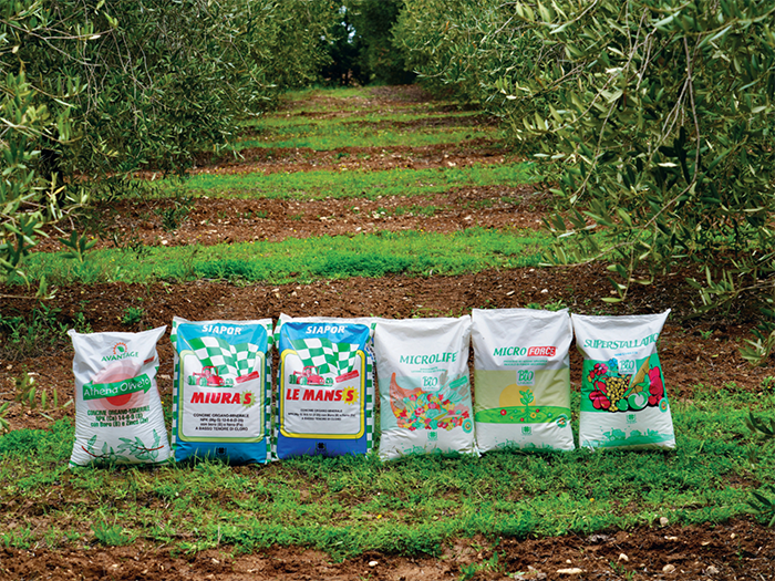 concimazione olivo