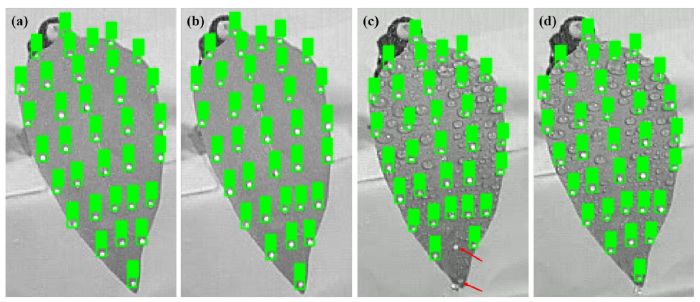 l'intelligenza artificiale 