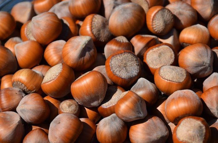 nocciola romana dop
