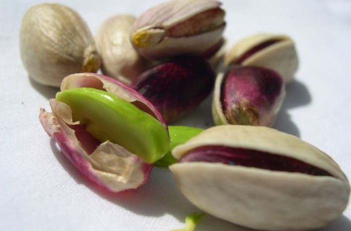 pistacchio di bronte dop