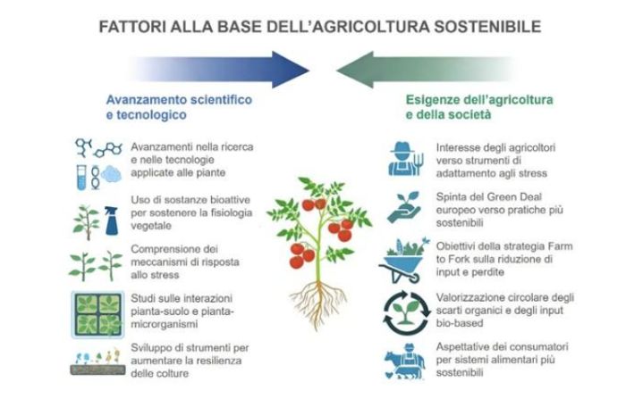 biostimolanti 