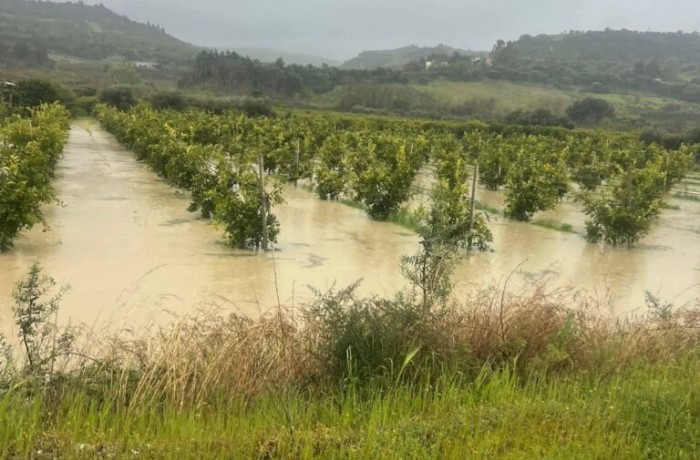 il maltempo basilicata