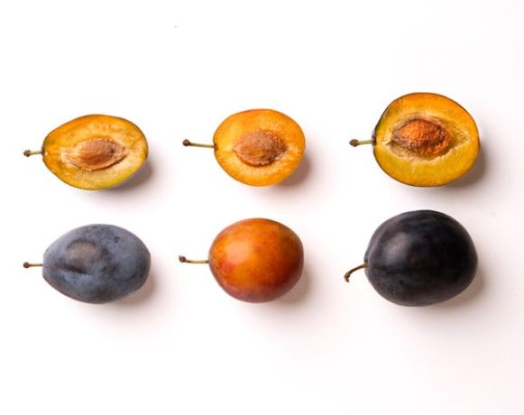 le susine viulet