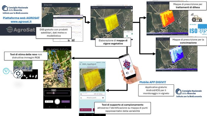viticoltura di precisione 
