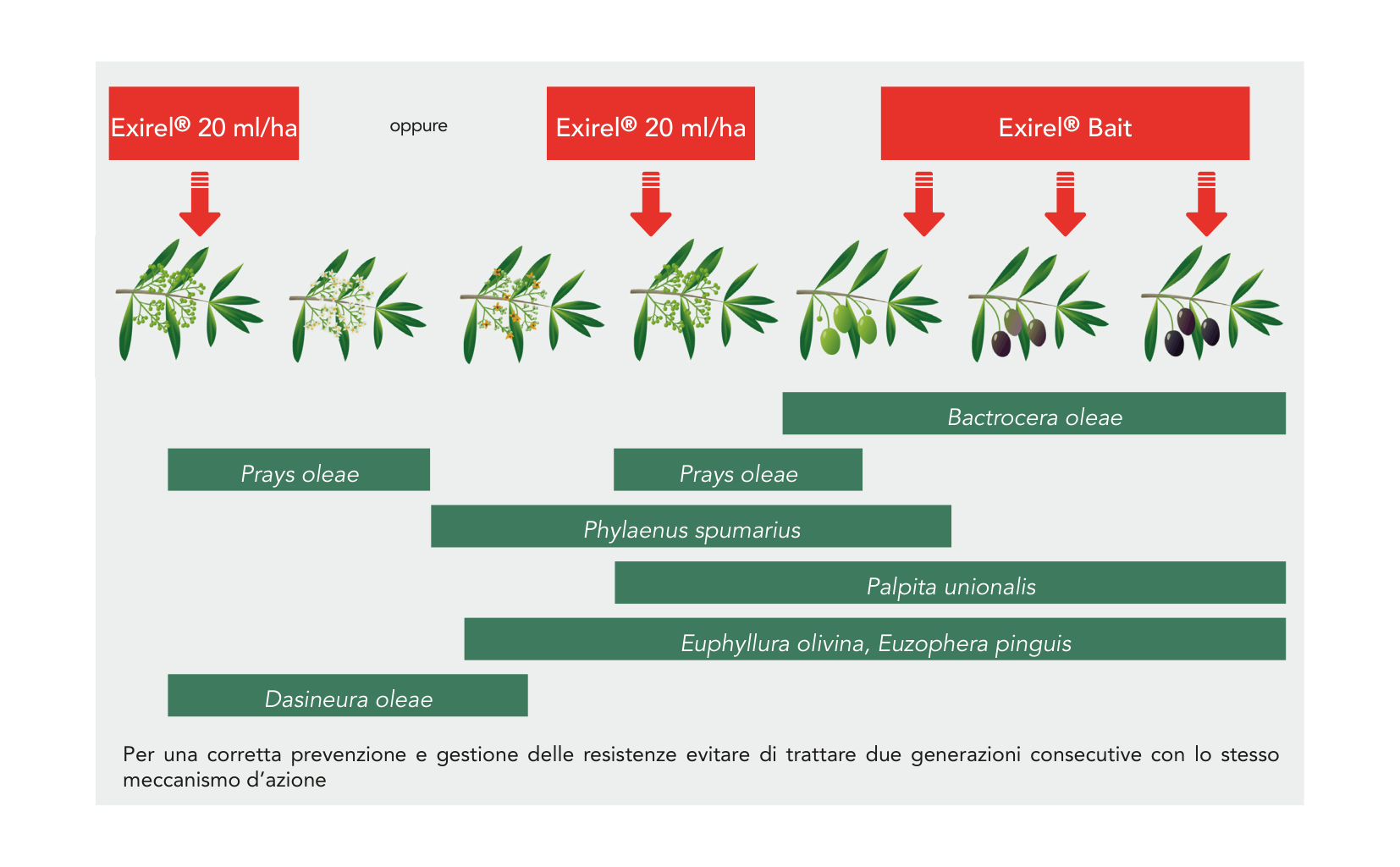 Exirel - SCHEMA-1