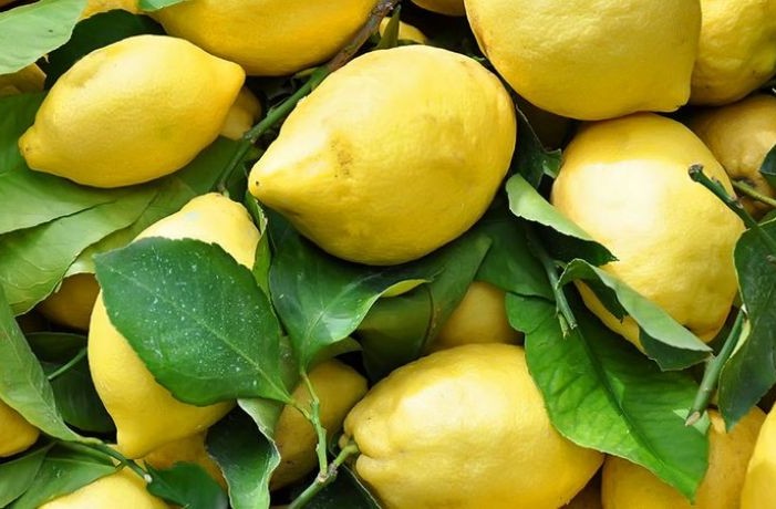 limone 
