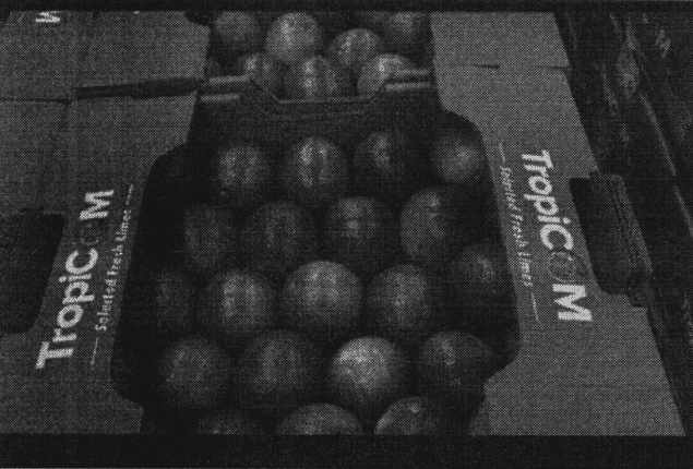 sostanza attiva lime (1)