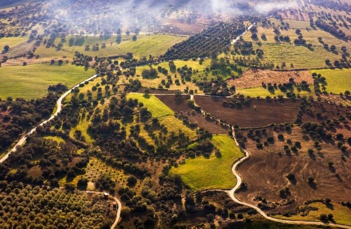 agricoltura siciliana