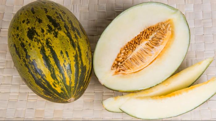 varietà di melone