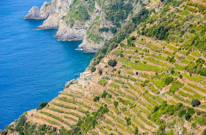 agricoltura in liguria