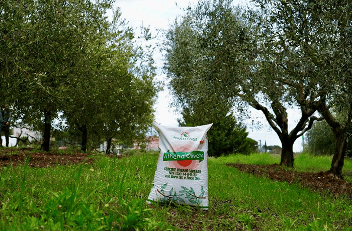 concimazione autunnale
