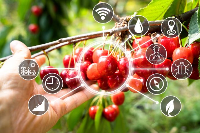 innovazione agricola