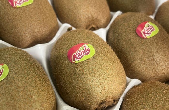 kiwi verde kandy